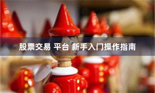 股票交易 平台 新手入门操作指南
