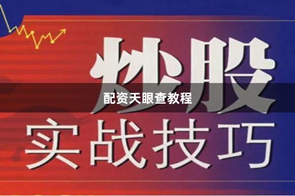配资天眼查教程