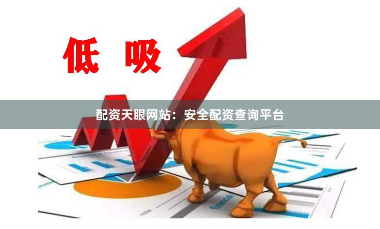 配资天眼网站：安全配资查询平台