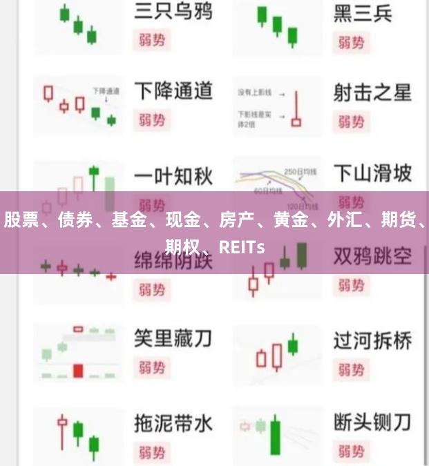 股票、债券、基金、现金、房产、黄金、外汇、期货、期权、REITs