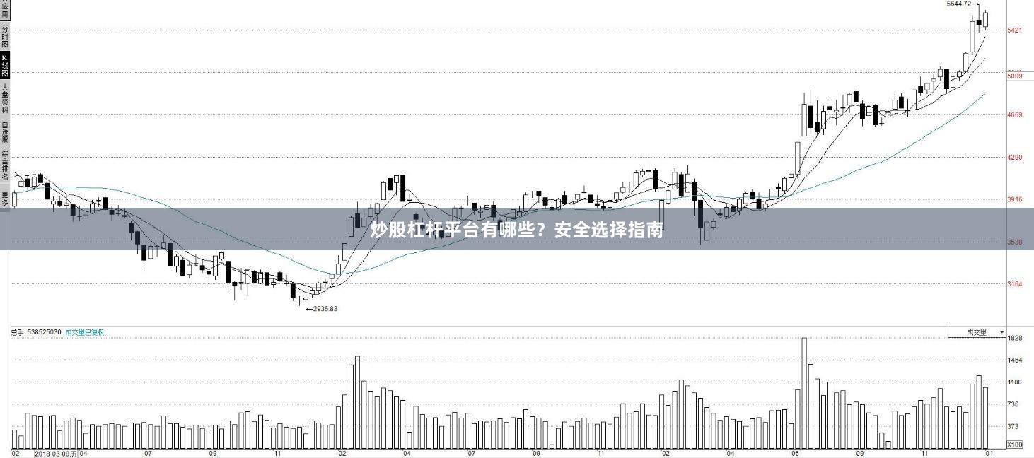 炒股杠杆平台有哪些？安全选择指南