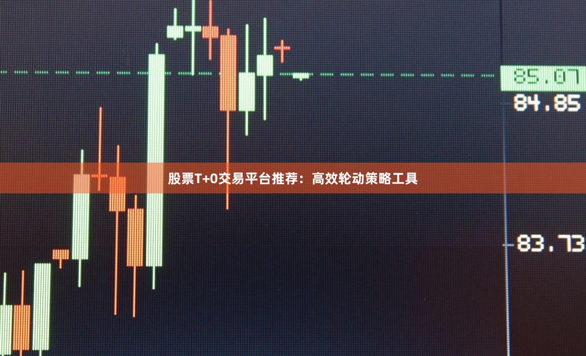 股票T+0交易平台推荐：高效轮动策略工具